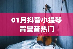 2025年1月4日 第6页