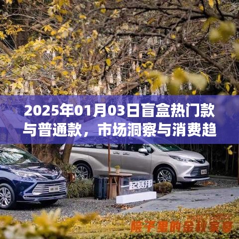 盲盒市场洞察，热门款与普通款的消费趋势分析（2025年）