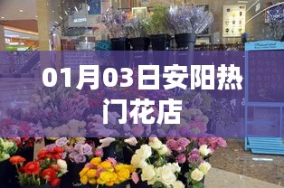 安阳热门花店一览，精选推荐（日期，01月03日）