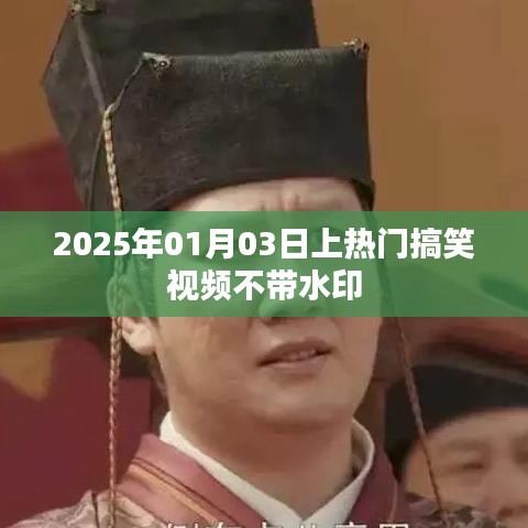 2025年爆笑无水印视频，元旦狂欢掀起热潮