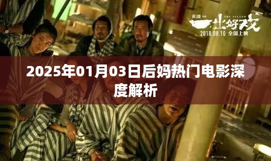 后妈电影系列深度解析，剧情、角色与影响（2025年）