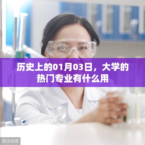 大学热门专业作用及历史一月三日事件回顾