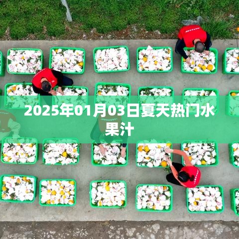 夏日水果汁流行趋势，2025年热门水果汁推荐