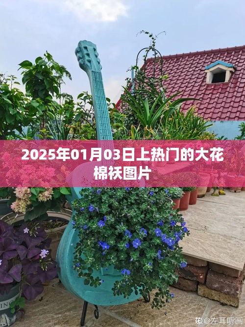 『2025年热门大花棉袄时尚图片欣赏』