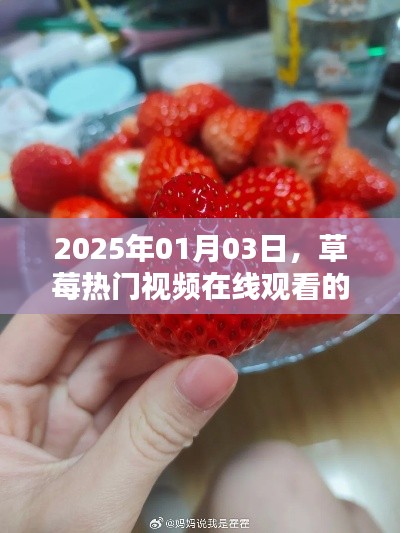 草莓盛宴，热门视频在线观看，2025年不容错过