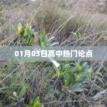 热门论点解析，高中生关注焦点热议日评