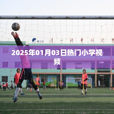 热门小学视频一网打尽，2025年1月3日盘点