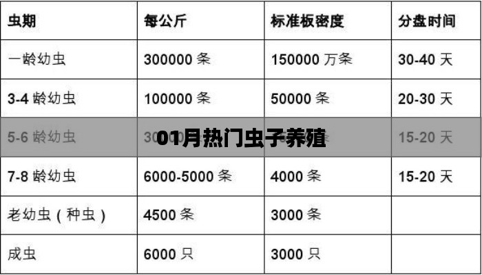 最新热门虫子养殖秘籍，一月热点全掌握