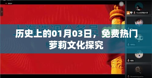 免费热门萝莉文化历史探究，一月三日回顾与展望