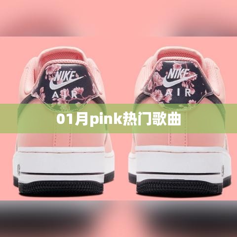 热门Pink歌曲大盘点