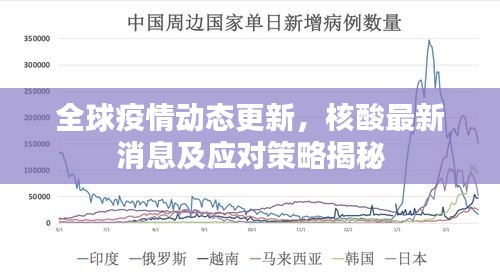 全球疫情动态更新，核酸最新消息及应对策略揭秘