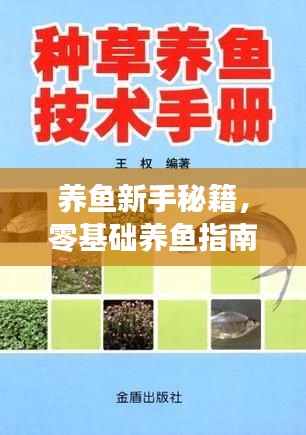 养鱼新手秘籍，零基础养鱼指南（最新版）