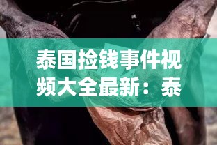 泰国捡钱事件视频大全最新：泰国捡贝壳是犯法的吗 