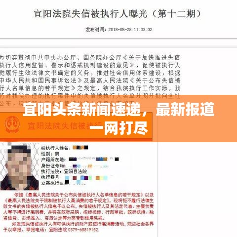 宜阳头条新闻速递，最新报道一网打尽