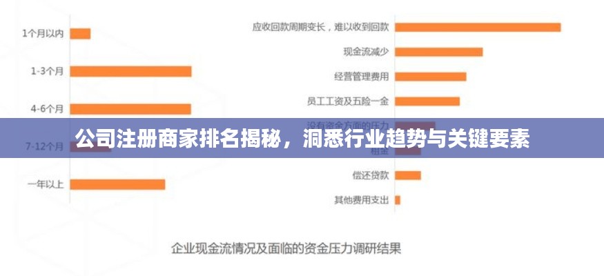 公司注册商家排名揭秘，洞悉行业趋势与关键要素