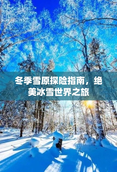 冬季雪原探险指南，绝美冰雪世界之旅