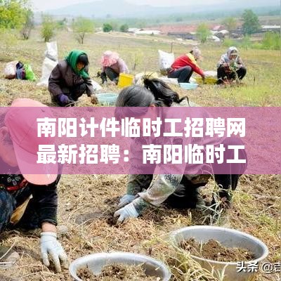 南阳计件临时工招聘网最新招聘：南阳临时工日结 