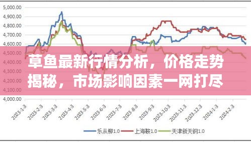 草鱼最新行情分析，价格走势揭秘，市场影响因素一网打尽！