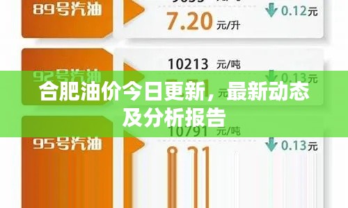 合肥油价今日更新，最新动态及分析报告