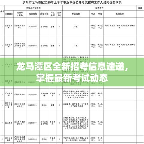 龙马潭区全新招考信息速递，掌握最新考试动态