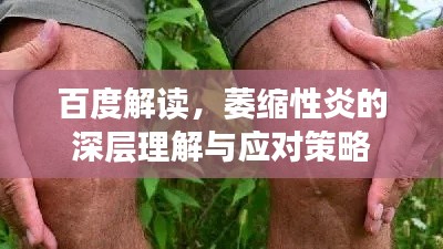 百度解读，萎缩性炎的深层理解与应对策略