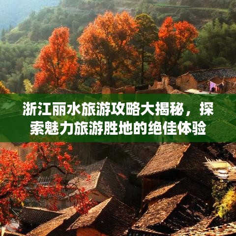 浙江丽水旅游攻略大揭秘，探索魅力旅游胜地的绝佳体验