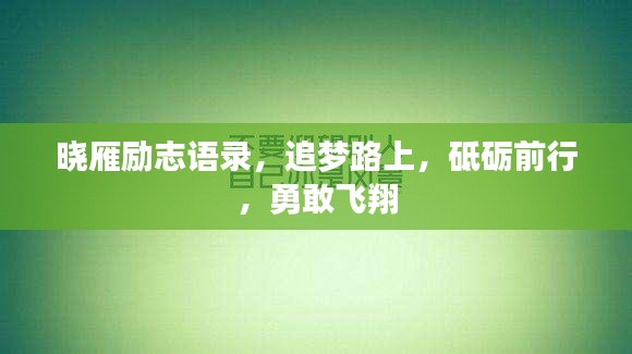 晓雁励志语录，追梦路上，砥砺前行，勇敢飞翔