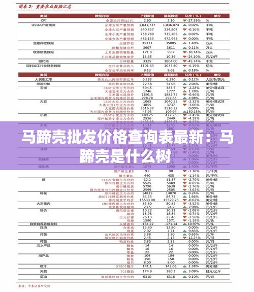 马蹄壳批发价格查询表最新：马蹄壳是什么树 