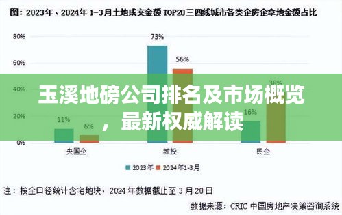 玉溪地磅公司排名及市场概览，最新权威解读