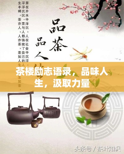 茶楼励志语录，品味人生，汲取力量