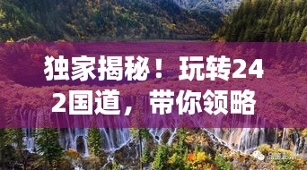 独家揭秘！玩转242国道，带你领略沿途美景与独特风情！