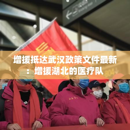 增援抵达武汉政策文件最新：增援湖北的医疗队 