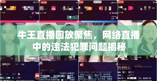 牛王直播回放聚焦，网络直播中的违法犯罪问题揭秘