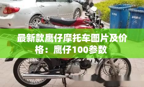 最新款鹰仔摩托车图片及价格：鹰仔100参数 