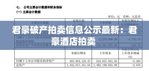 君豪破产拍卖信息公示最新：君豪酒店拍卖 