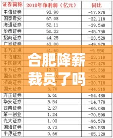 合肥降薪裁员了吗今天最新消息：合肥涨工资 