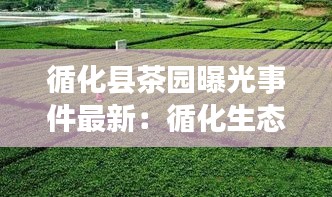 循化县茶园曝光事件最新：循化生态园 