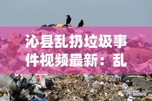 沁县乱扔垃圾事件视频最新：乱扔垃圾污染环境的视频 