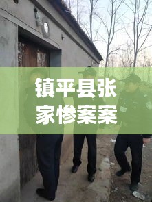 镇平县张家惨案案件最新进展：镇平县张林镇 谁是真霸 