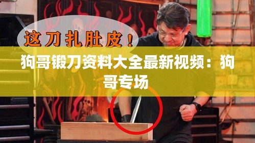 狗哥锻刀资料大全最新视频：狗哥专场 