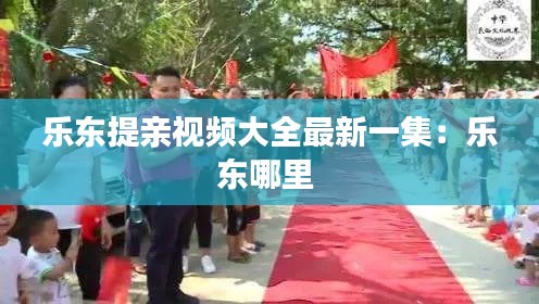 乐东提亲视频大全最新一集：乐东哪里 