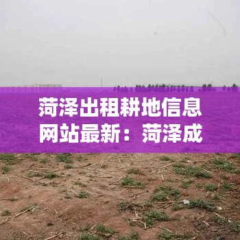 菏泽出租耕地信息网站最新：菏泽成武耕地出租 