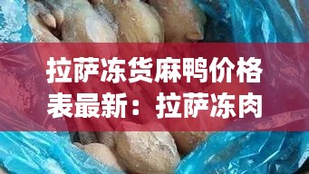 拉萨冻货麻鸭价格表最新：拉萨冻肉批发市场 