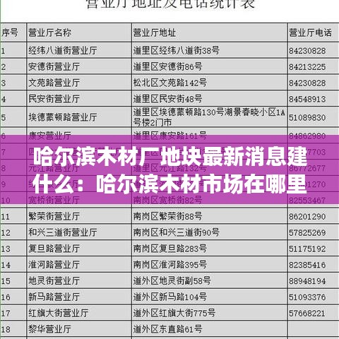 哈尔滨木材厂地块最新消息建什么：哈尔滨木材市场在哪里? 