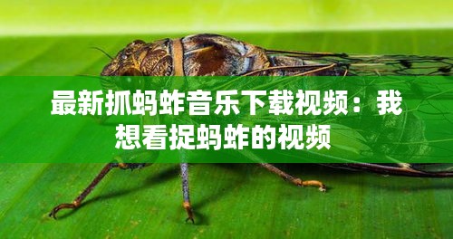 最新抓蚂蚱音乐下载视频：我想看捉蚂蚱的视频 