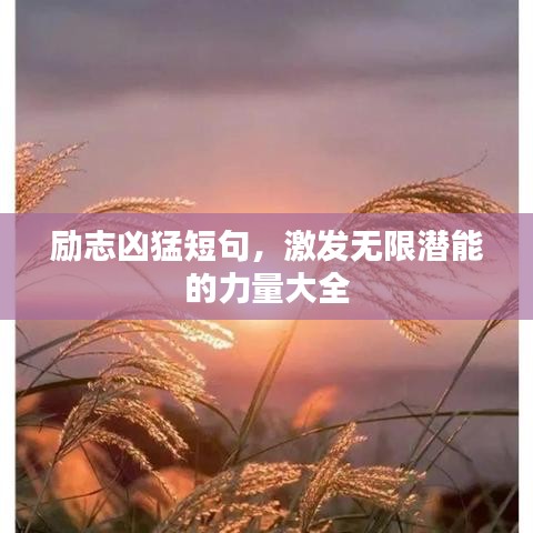 励志凶猛短句，激发无限潜能的力量大全