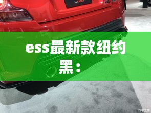 ess最新款纽约黑： 