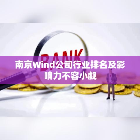 南京Wind公司行业排名及影响力不容小觑