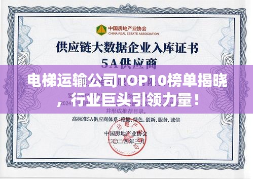 电梯运输公司TOP10榜单揭晓，行业巨头引领力量！