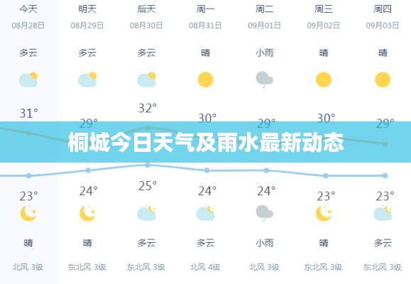 桐城今日天气及雨水最新动态